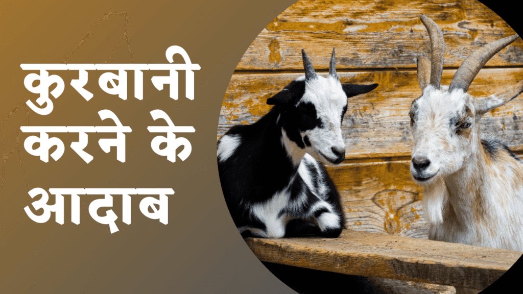 Qurbani Karne Ka Sunnat Tarika