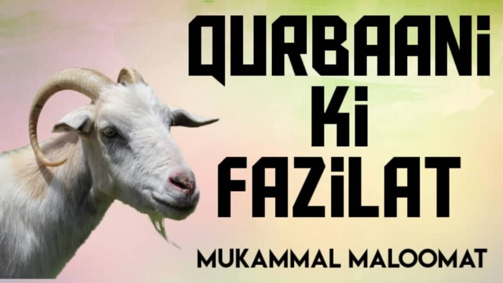 Qurbani ki Fazilat