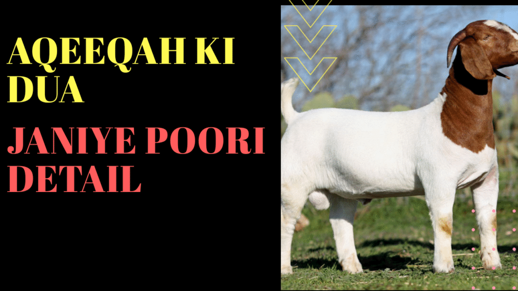 Aqeeqah ki Dua