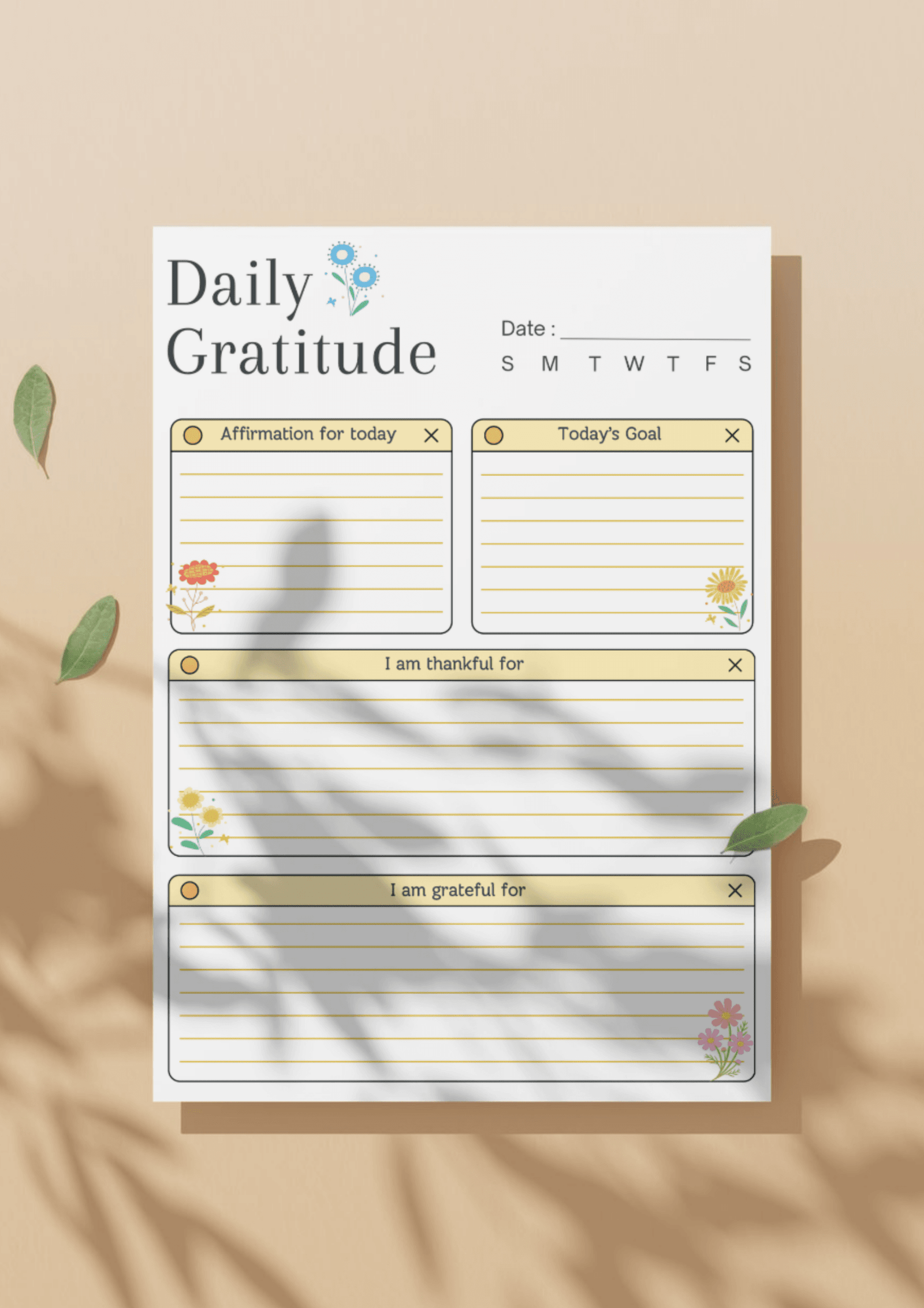 Daily Gratitude